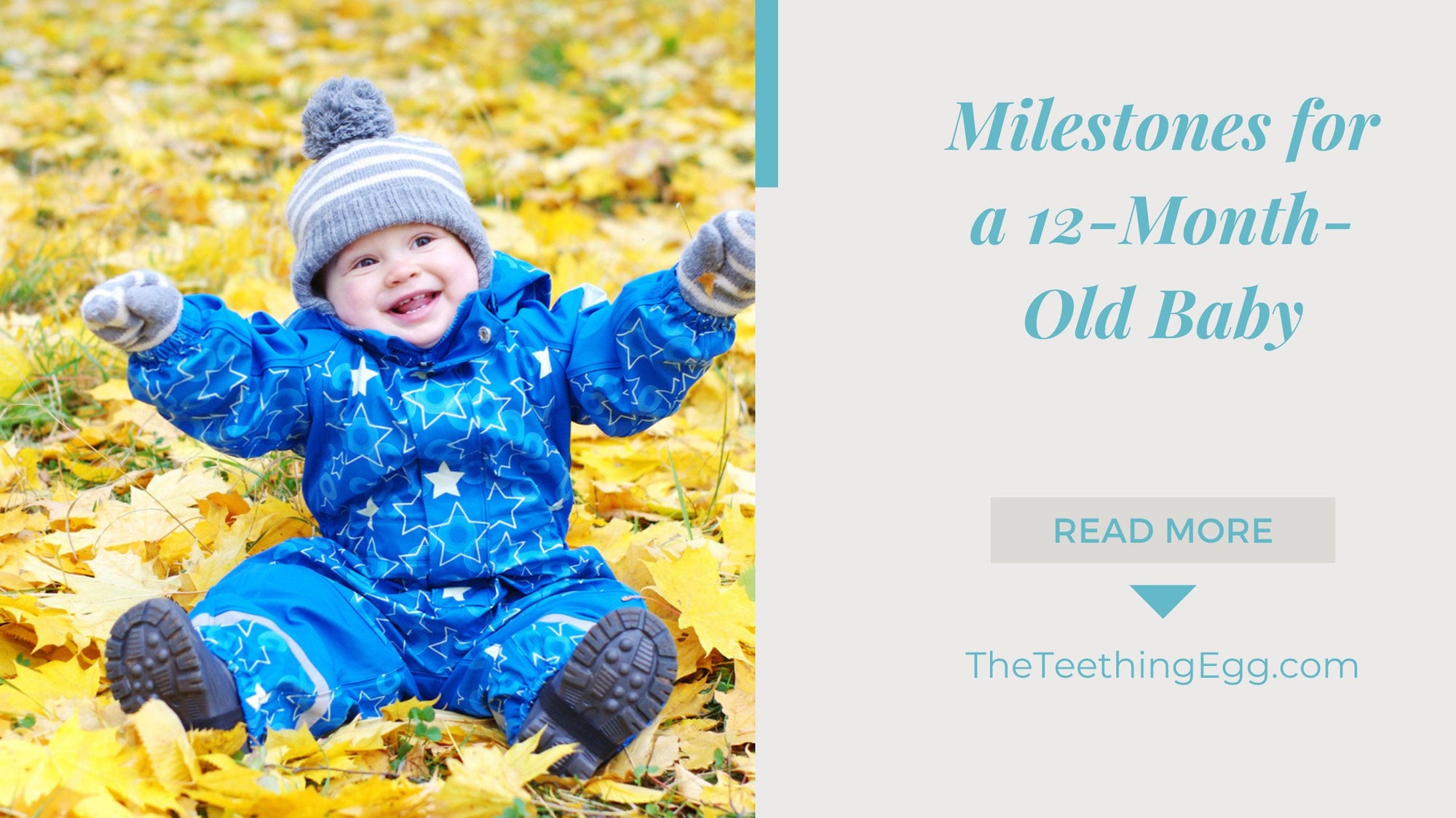 Milestones for a 12-Month-Old Baby