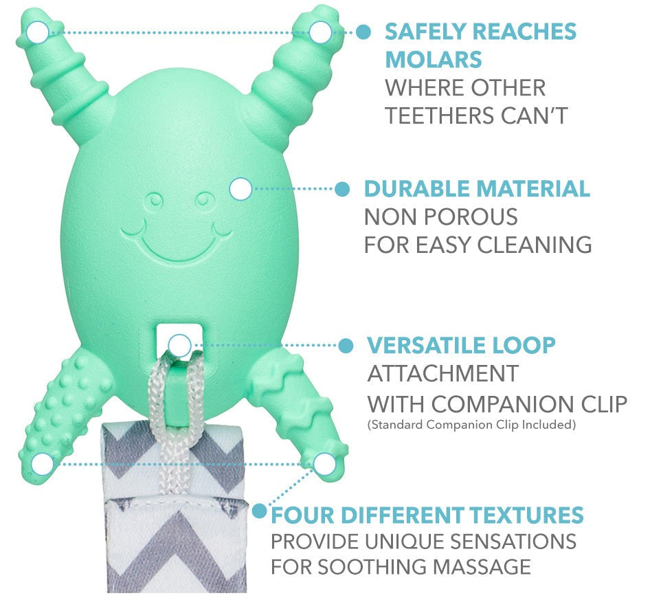 Teethers for clearance back molars