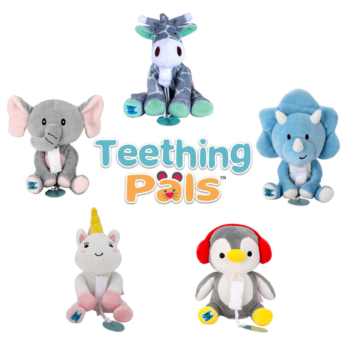 https://www.theteethingegg.com/cdn/shop/files/teething-pals-group_1600x.jpg?v=1687481835